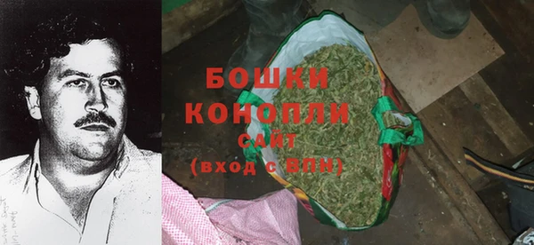 гашик Бородино
