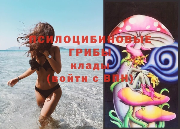 альфа пвп Приозерск