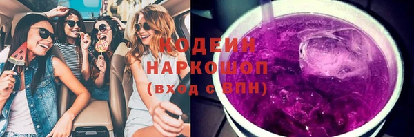 гашик Бородино