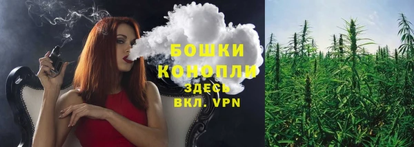 гашик Бородино
