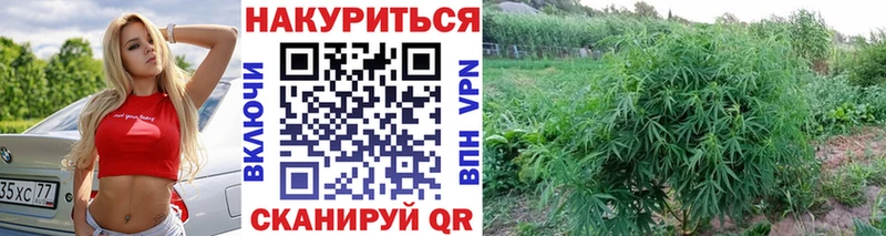 Марихуана OG Kush  сколько стоит  Минусинск 